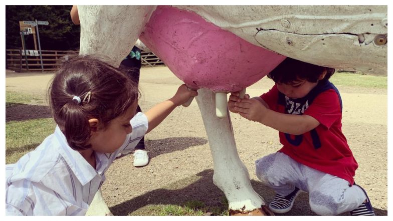 Taimur and Kainaat Milking a Cow in This Picture Will Make You LOL