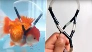 South Korean Man Builds &lsquo;Wheelchair&rsquo; for His Pet Goldfish Suffering From Swim Bladder Disease (Watch Adorable Video)