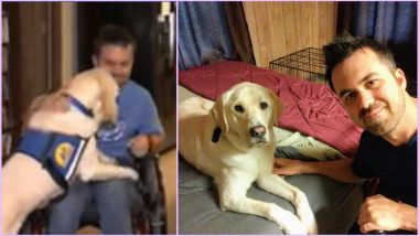 Man’s Best Friend Indeed! Zeego the Golden Retriever Lab Helps Wheelchair-Bound Owner Cope with Everyday Challenges (Watch Heart-Warming Video)