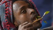 Khat Addiction in Ethiopia Prompts Rehab to Focus on the Gateway Drug That Leads Addicts to Harder Substances