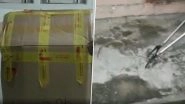 Cobra Snake Found Inside Courier Parcel in Odisha; Watch Video