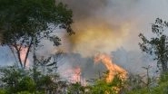 Amazon Rainforest Fires Hit Record Number This Year With 72,843 Incidents Detected So Far by Brazil's Space Research Centre