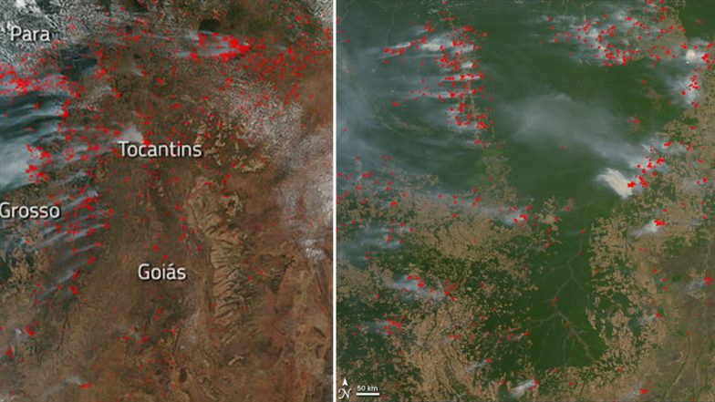 Amazon Rainforest Fires: Brazil Rejects $22 Million Aid by G7 Countries to Save World&rsquo;s Largest Tropical Forest