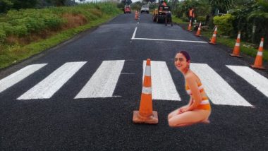 Anushka Sharma's Bikini Picture Becomes a Hilarious Meme as Netizens Turn it Into VLC Player Logo and Highway Stoppage Sign - See Pictures