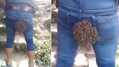 Beehive on the Behind! Kiren Rijiju Shares Video of Swarm of Bees Gathered on a Man's 'Unlikely Place' And Twitter Has Some 'Sweet' Reactions