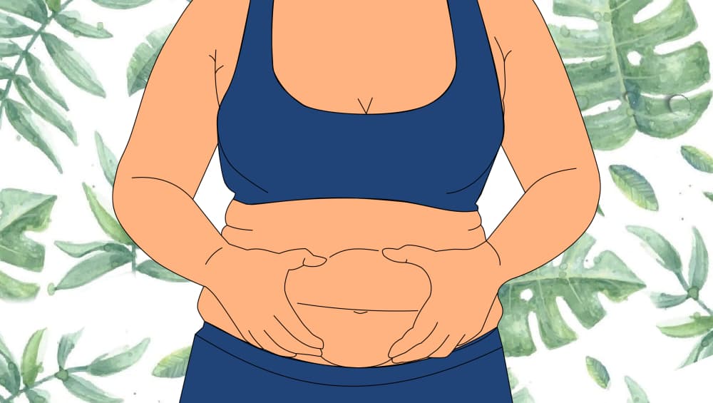 Belly Fat Cells May Be Targets for Age Related Diseases: Study Belly Fat Cells May Be Targets for Age Related Diseases: Study