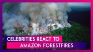 Amazon Rainforest Fires: Arjun Kapoor, Alia Bhatt, Akshay Kumar, Demi Lovato, Madonna & Others React