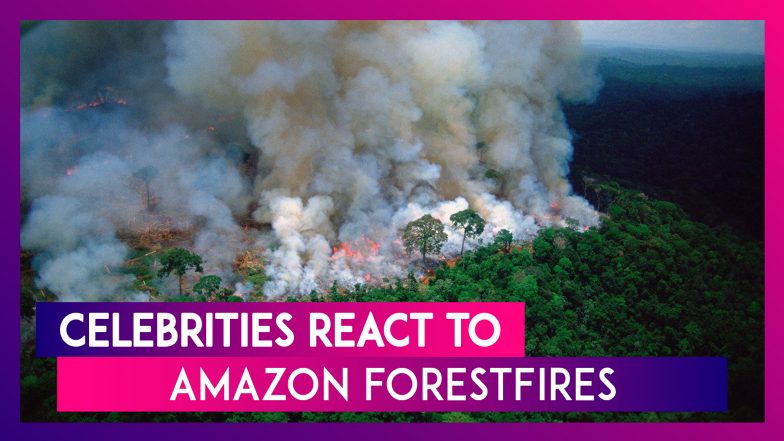 Amazon Rainforest Fires: Arjun Kapoor, Alia Bhatt, Akshay Kumar, Demi Lovato, Madonna & Others React