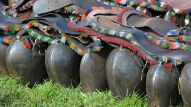 Thieves Steal Cowbells Off Bovines’ Necks in Austria, Give Police a Hard Time