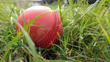 SmartBall, New Microchipped Cricket Ball to Assist Umpiring and Decision Review System (DRS) Process in Future