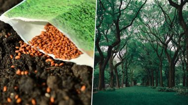 You Can Now 'Dial A Tree'! Ordering Saplings is Just a Phone Call Away in This Punjab City