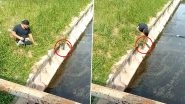 Disabled Man Risks His Own Life to Rescue Kitten Fallen in Drain, Internet Hails Him as Video Goes Viral