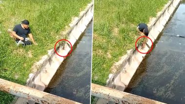 Disabled Man Risks His Own Life to Rescue Kitten Fallen in Drain, Internet Hails Him as Video Goes Viral