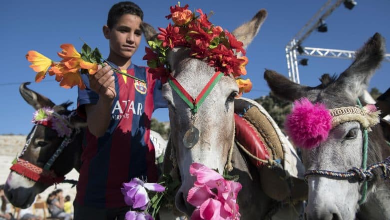 Morocco: 'Cleopatra' The Donkey Wows Villagers By Clinching Top Prize in Beauty Pageant 2019 (Watch Video) Morocco: 'Cleopatra' The Donkey Wows Villagers By Clinching Top Prize in Beauty Pageant 2019 (Watch Video)