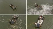 Thousands of Asian Carp Fish Jump Out of Water During Electrofishing in Kentucky (Watch Video)