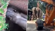 Baby Elephant Rescued by Army After It Fell into a Deep Jungle Well in Jalpaiguri, West Bengal; Heartening Video Goes Viral