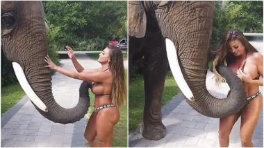 Elephant Gropes Model at South Carolina Safari Park, Video of the Pachyderm Trying to Rip Off Woman's Bikini Goes Viral
