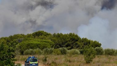 France: 500 Firefighters to Battle Blaze in French Forest
