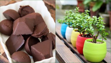 Friendship Day 2019 Best Gift Ideas: Homemade Chocolates to Table Top Plants, Express Your Bond With These 5 Best Gift Ideas