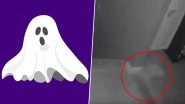Ghost Caught on Camera With Its Pet! NY Couple See Spooky Shadows in Their Home (Watch Viral Video)