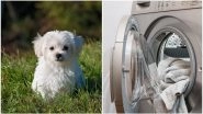 Texas Girl Put Her Pet Dog Into Dryer and Turned it On For Fun! Video Goes Viral