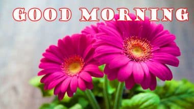 images of good morning friends with flowers