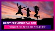 Happy Friendship Day 2019 Wishes in Hindi: WhatsApp Messages, Quotes & Greetings to Send to Your BFF