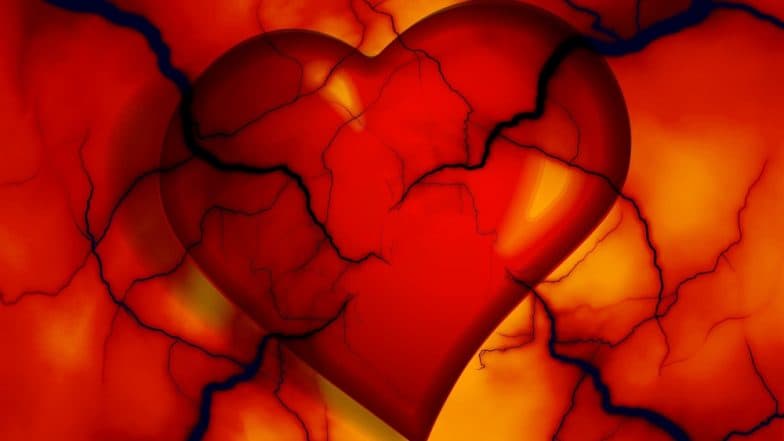 What Causes Heart Diseases? 8 Factors from Loneliness to Child Abuse that Impair Your Cardiac Health What Causes Heart Diseases? 8 Factors from Loneliness to Child Abuse that Impair Your Cardiac Health