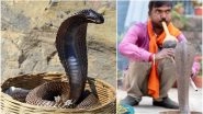 Jhapan Mela 2019 Date: Significance And Celebrations Related to the Snake Festival in West Bengal