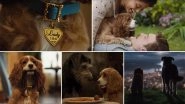 Lady and The Tramp Trailer Video: Justin Theroux and Tessa Thompson&rsquo;s Disney Movie Promises to Be a Treat for All, Dog Lovers or Not!