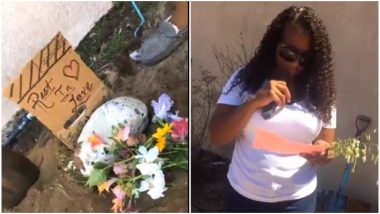 Girl Arranges a Funeral for Her Lizard! Funny Videos Leave Internet in Splits