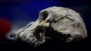 'MRD Skull' Discovery in Ethiopia Yields New Clues on How Humans Evolved
