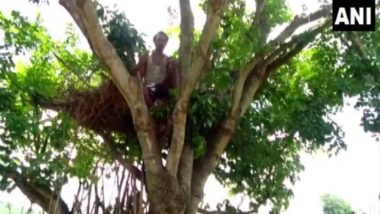 Odisha Man Lives on Treetop to Protect Himself From Wild Elephants Which Destroyed His Home