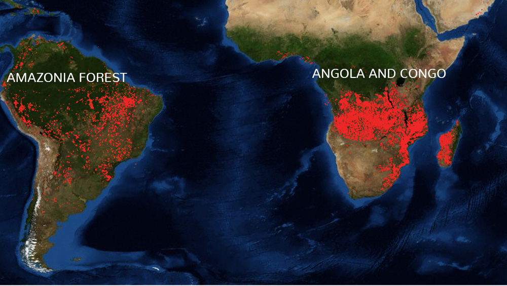 Africa's Angola and Congo Regions Are Burning More Than Amazon