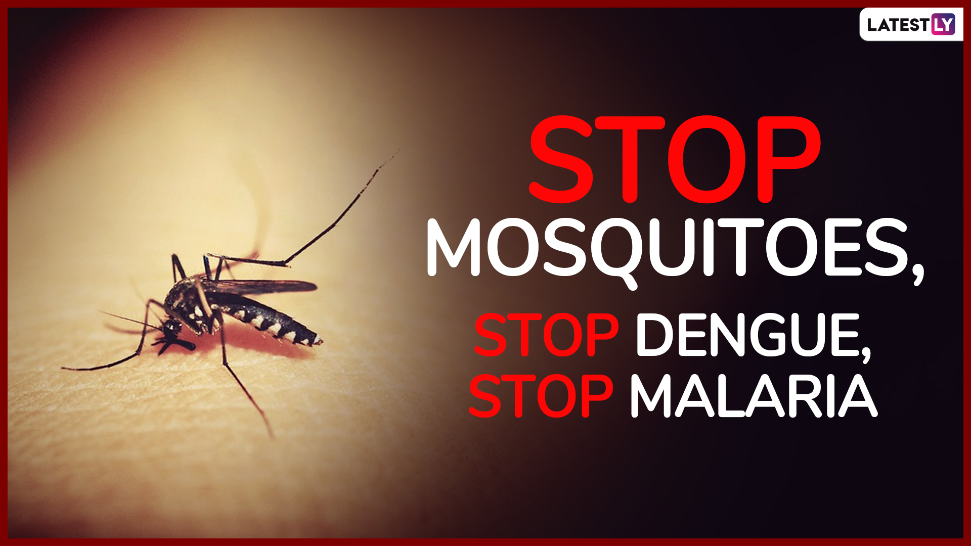 World Mosquito Day 2019: Share These Catchy Slogans On Mosquito And Malaria  To Raise Awareness Against World's Deadliest Animal! | 🙏🏻 LatestLY