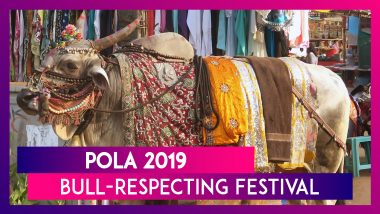 Pola 2019: Significance & Celebrations Associated With Bull-Respecting Festival Held During Shravan