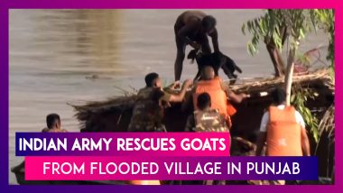 Punjab Floods: Indian Army Rescues Goats From Rooftop Of Submerged House In Jalla Majra Village