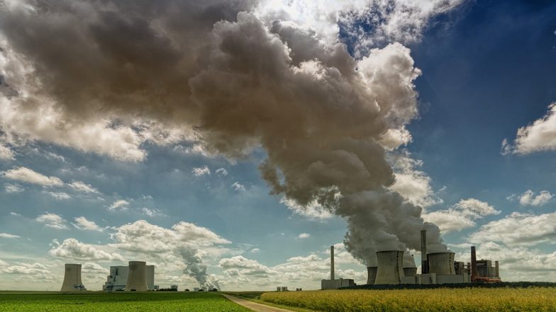 Pollution Is Ruining Not Only Humans but Plants and Insects Too: Study