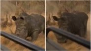 Rhino Chases Safari Jeep For 500 Meters in South African National Park, Terrifying Video Goes Viral
