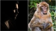 World's First Human-Monkey Hybrid or 'Chimera' Created in China by Spanish Scientists, Organ Harvesting from Animals to Become a Reality