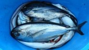 Mercury Poisoning from Seafood: Terrifying Symptoms You Should Not Ignore!