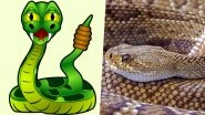 Snakes on The Loose! 5 Times Slithering Reptiles Gave People The Fright of Their Lives (Watch Video)