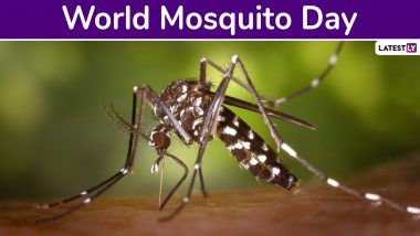 World Mosquito Day 2019: Know Date, History and Significance of The Day Creating Awareness About World's Deadliest Animal