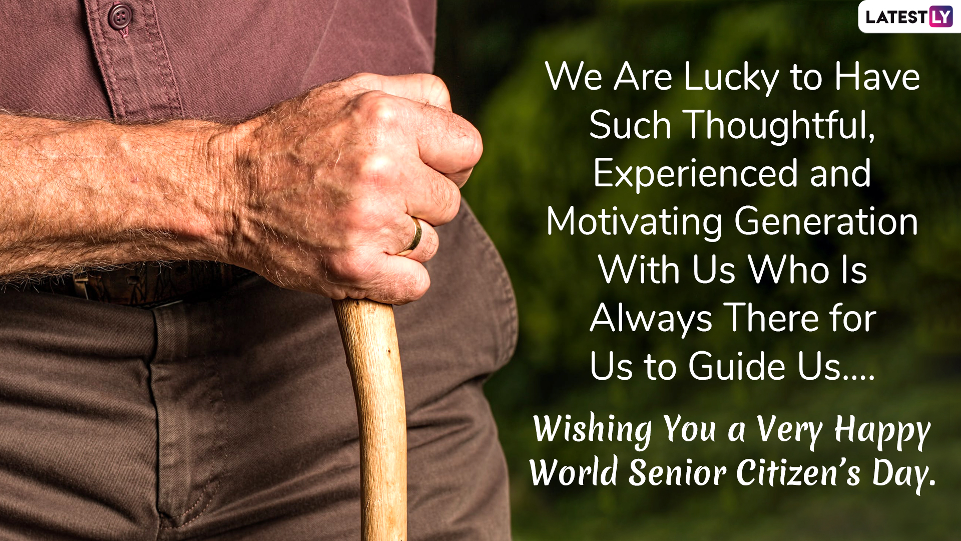 World Senior Citizen s Day 2019 Wishes WhatsApp Messages GIF Images 