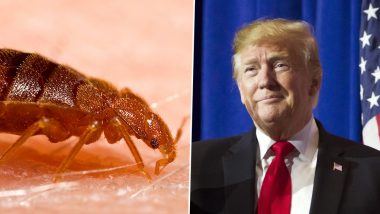 Donald Trump Rejects Claims of Bedbugs at His National Doral Miami Golf Club After #TrumpBedBugs Trends on Twitter