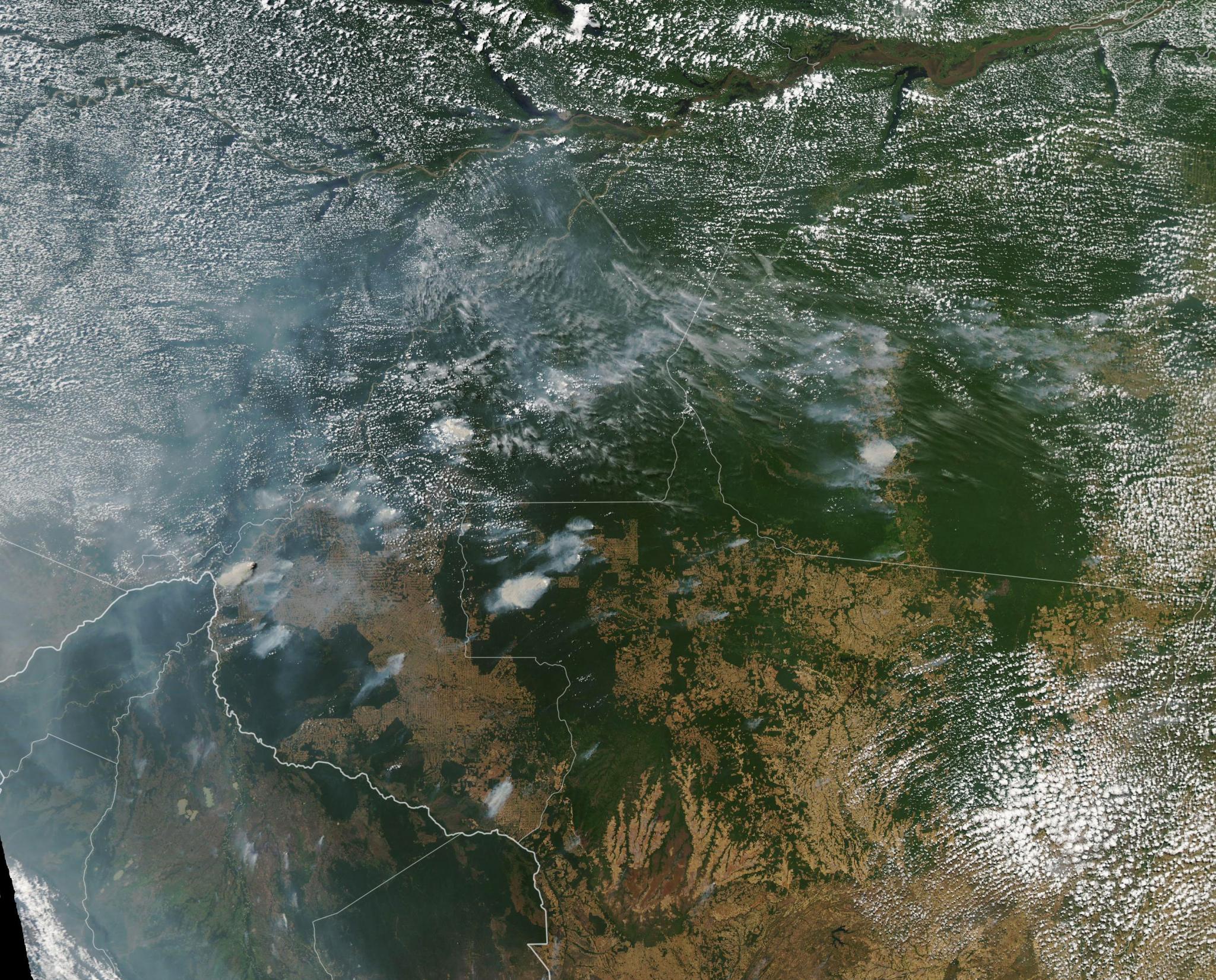 Amazon Rainforest Fires Visible From Space! NASA Shares Devastating
