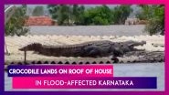 Karnataka Floods: Crocodile Lands On Roof Of House, The Giant Reptile Sits With Its Mouth Open