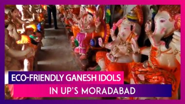 Ganesh Chaturthi: Eco-Friendly Ganesh Idols Gain Popularity In Up’s Moradabad