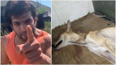 Karan Patel Gives ‘Ultimatum’ to Mr Bhatia and the Watchmen Who Beat Lucky, the Stray Dog to Death (Watch Video)