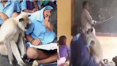 Viral Video of Female Langur Studying With Kids at School in Andhra Pradesh Is Spreading Happiness on the Internet! (Watch Video)